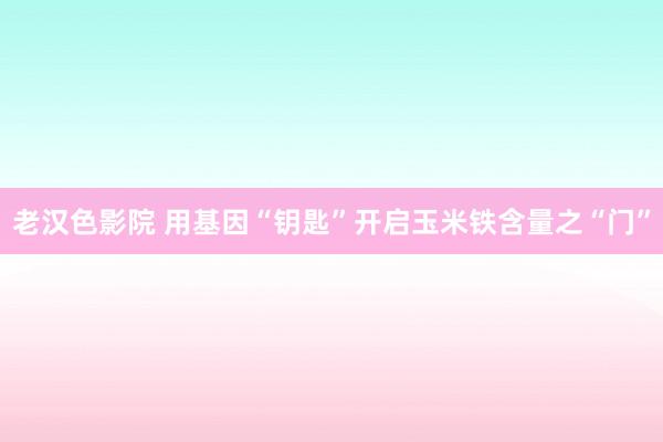 老汉色影院 用基因“钥匙”开启玉米铁含量之“门”