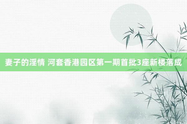 妻子的淫情 河套香港园区第一期首批3座新楼落成