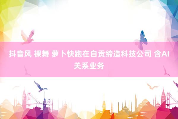 抖音风 裸舞 萝卜快跑在自贡缔造科技公司 含AI关系业务