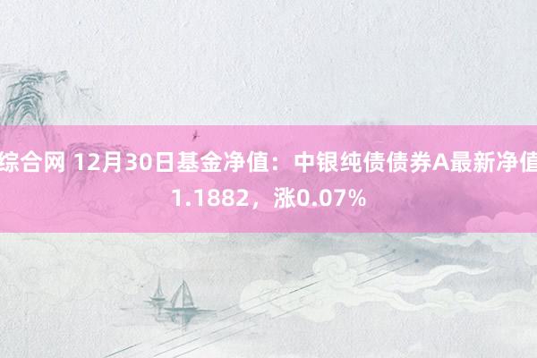 综合网 12月30日基金净值：中银纯债债券A最新净值1.1882，涨0.07%