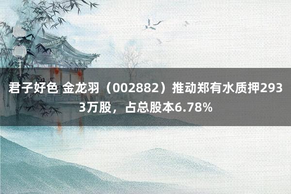 君子好色 金龙羽（002882）推动郑有水质押2933万股，占总股本6.78%