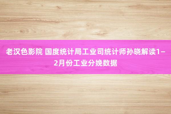 老汉色影院 国度统计局工业司统计师孙晓解读1—2月份工业分娩数据