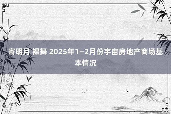 寄明月 裸舞 2025年1—2月份宇宙房地产商场基本情况