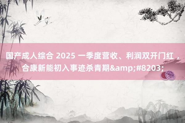 国产成人综合 2025 一季度营收、利润双开门红 ，合康新能初入事迹杀青期&#8203;